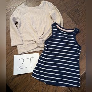 2T girls clothing bundle
